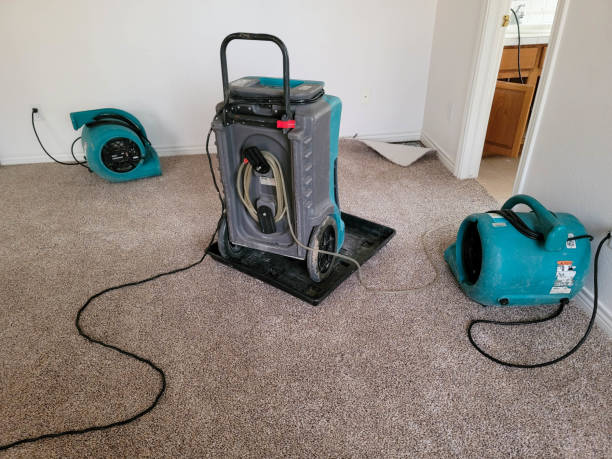 Best Basement water damage restoration  in Italy, TX