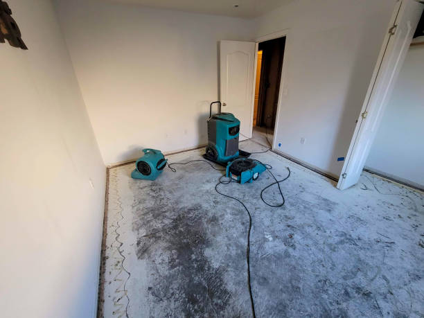 Best Flood restoration services  in Italy, TX