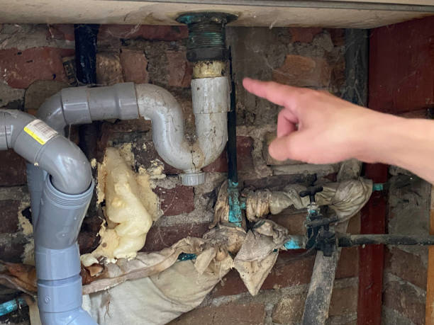 Best Water damage cleanup near me  in Italy, TX
